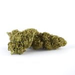 Fleur CBD Tropical Haze