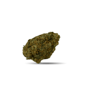 Fleur Blueberry Muffin Indoor