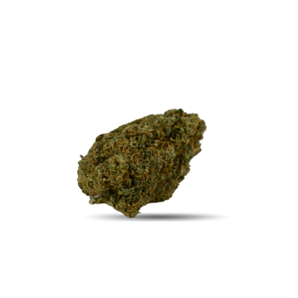 Fleur Blueberry Muffin Indoor