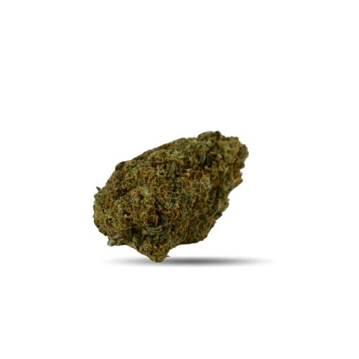 Fleur Blueberry Muffin Indoor