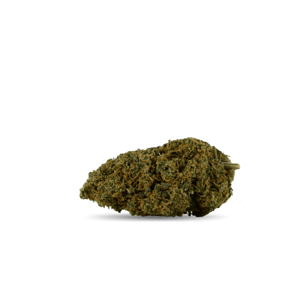 Fleur Blueberry Muffin Indoor