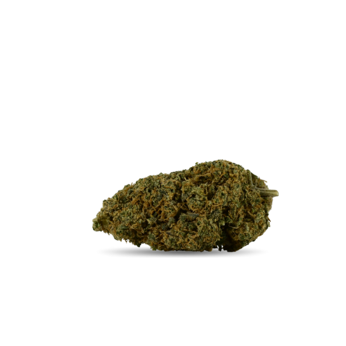 Fleur Blueberry Muffin Indoor