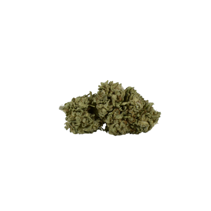Super Silver Haze HE - Fleur CBD