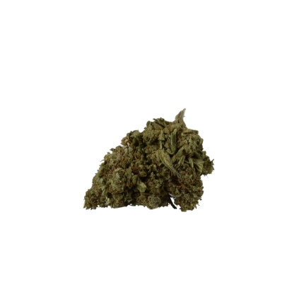 Cali Haze - Fleur CBD