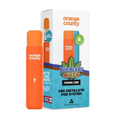 orange-county-blueberry muffin